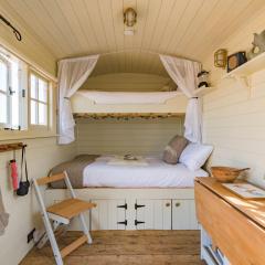 The Romney by Bloom Stays