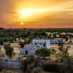 Casa Barzò - surrounded by olive trees