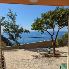 Appartement Villa Belle Epoque Roquebrune Cap Martin