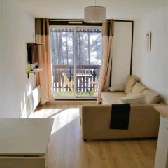La Foux d'Allos STUDIO 4 PERSONNES 23m2 résidence les Etoiles
