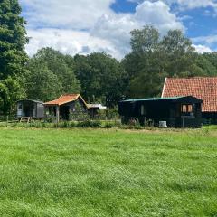 Tiny house, pipowagen onder de kastanje