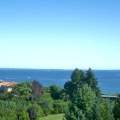 Villa Vogelsang VV, Schwimmbad, Sauna