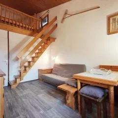 Studio avec mezzanine proche des pistes à Plagne Village - FR-1-181-2626
