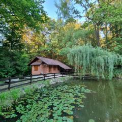 Cottage by the pond Pavel