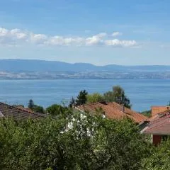 Au coucher du lac