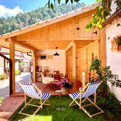 Victoria Gasthaus Rasnov - charming vacation house in Rasnov