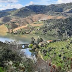 Quinta da Ferradosa Wines