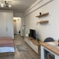 Studio Near Palas Mall