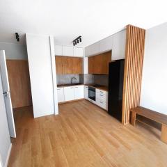 Elegant 1-Bedroom Flat With Balcony Near Wrocław