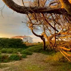 Il Canneto