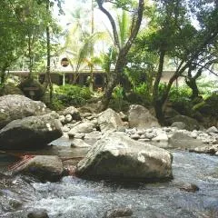 Citrus Creek Plantation