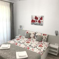 NEW Aparthotel Floresti