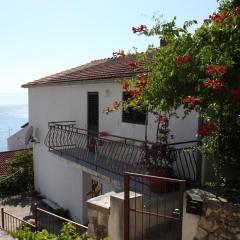 Apartments by the sea Podgora, Makarska - 6788