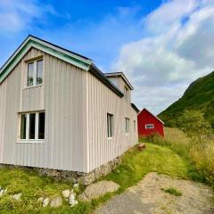 Eagle Panorama Lofoten