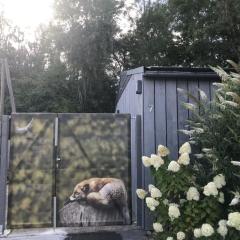 Naturferienhaus Klein Rosenburg für 2 Personen