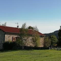 Gîte Roche-en-Régnier, 4 pièces, 6 personnes - FR-1-582-192