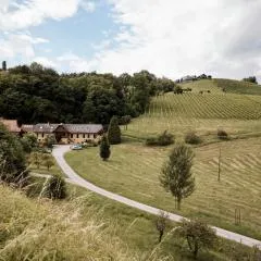Bio Weingut Matthias Schnabl