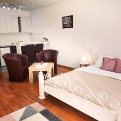 VIKONT studio apartment with parking 5 eur per day
