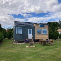 The Cedar Tiny House