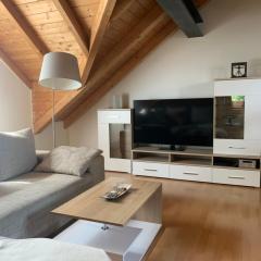 Lovely Home München