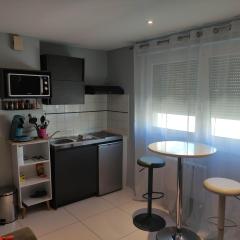 APPARTEMENT NANCY THERMAL/ARTEM/PARC STE MARIE Le 61 LES THERMES