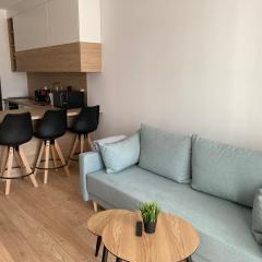 Rakowicka Modern Apartment