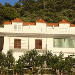 Apartments by the sea Ubli, Lastovo - 8354