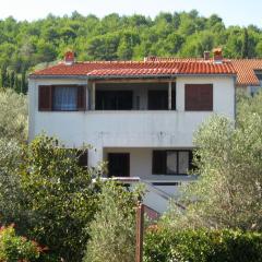 Apartments with a parking space Zdrelac, Pasman - 8396