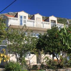 Apartments with a parking space Brsecine, Dubrovnik - 8549