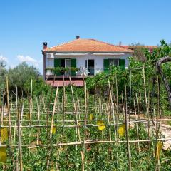 Apartments with parking space Kraj, Pasman - 8457