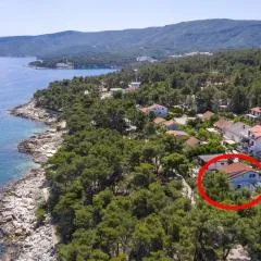 Apartment Jelsa 8729a