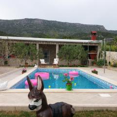 Holiday house with a swimming pool Bol, Brac - 11016