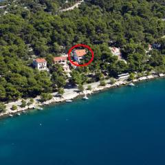 Apartments and rooms by the sea Mali Losinj (Losinj) - 10420