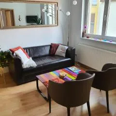 DRAGO Helles 3 Raum Appartement auf der Dominsel im Herzen der Stadt
