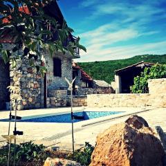 Family friendly house with a swimming pool Zagvozd, Zagora - 13901