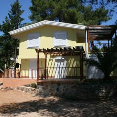 Apartments by the sea Vrboska (Hvar) - 13906