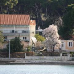Apartments by the sea Zlarin - 14025
