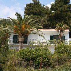 Apartments by the sea Zaostrog, Makarska - 10431