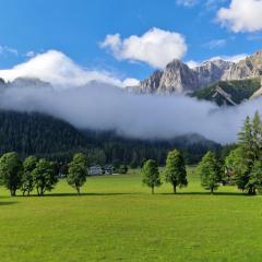 Family Appartment - Dachstein View