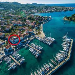 Apartments by the sea Preko, Ugljan - 14244