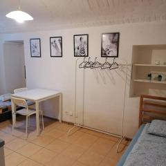 Basement apartment in the city center!!