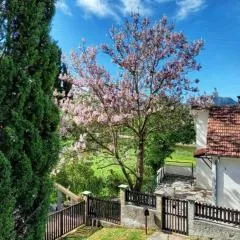 Vikendica Dražin Do