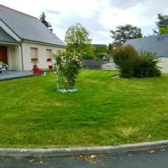 Au détour des Orchidées
