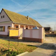 Holiday house with a parking space Orolik, Slavonija - 14358