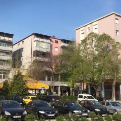 Apartments with WiFi Vinkovci, Slavonija - 16805