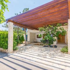 Apartments with parking space Vir - 18544