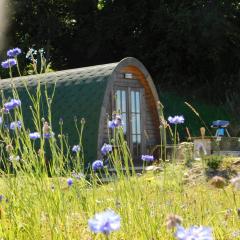 Cosy Pod-Cabin near beautiful landscape in Omagh