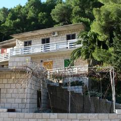 Apartments by the sea Povlja, Brac - 716