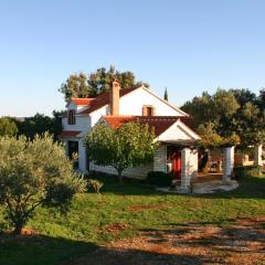 Family friendly house with a parking space Pucisca, Brac - 749