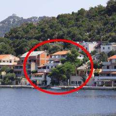 Apartments and rooms by the sea Zaklopatica, Lastovo - 994